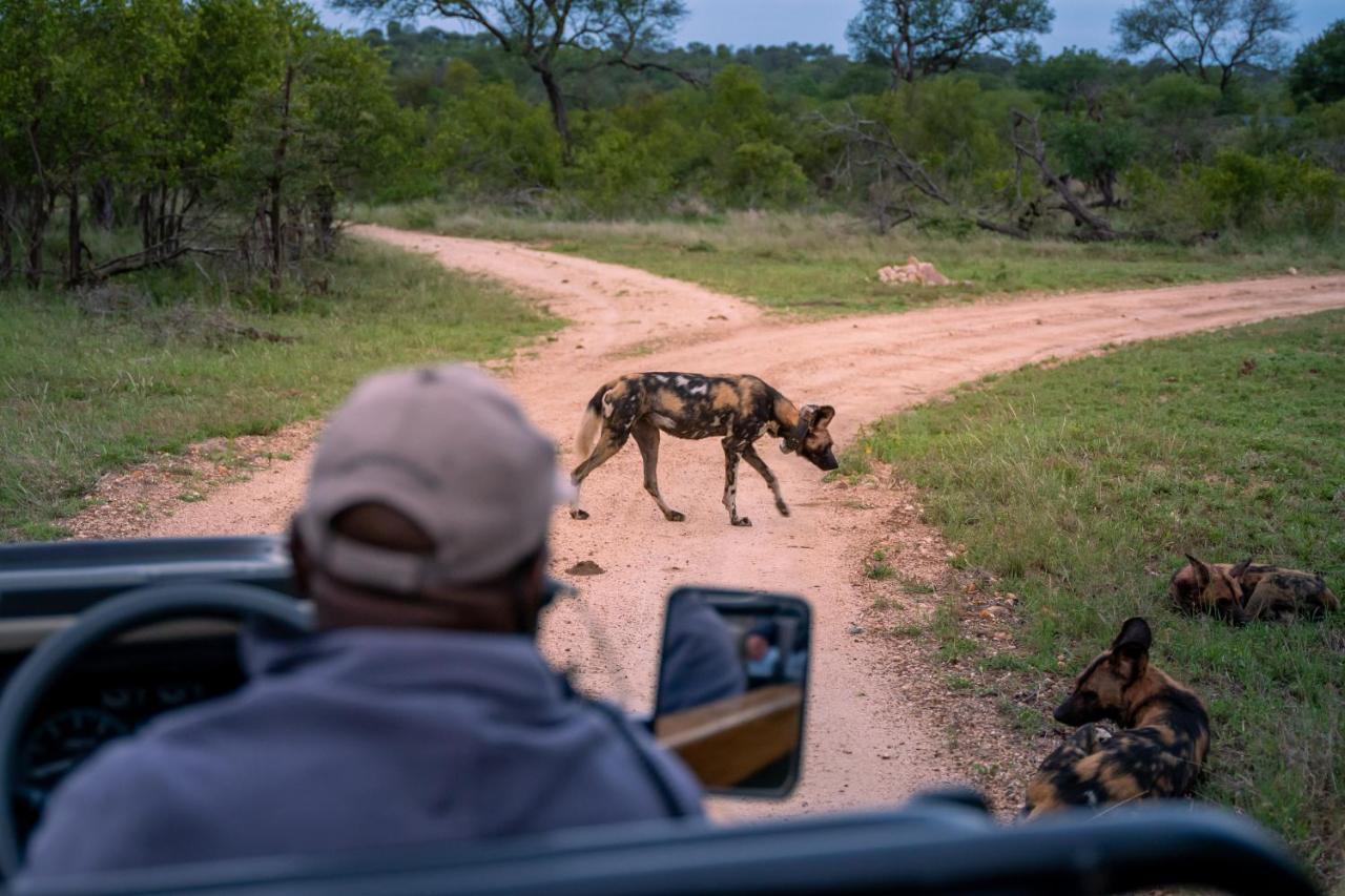 שמורת ת'ורניבוש Thornybush Game Lodge מראה חיצוני תמונה