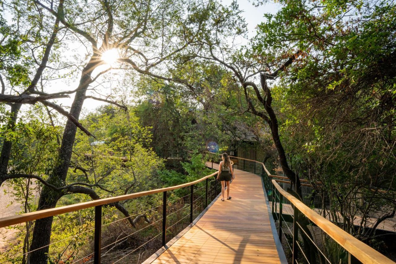 שמורת ת'ורניבוש Thornybush Game Lodge מראה חיצוני תמונה